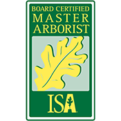 board certified master arborist in ct