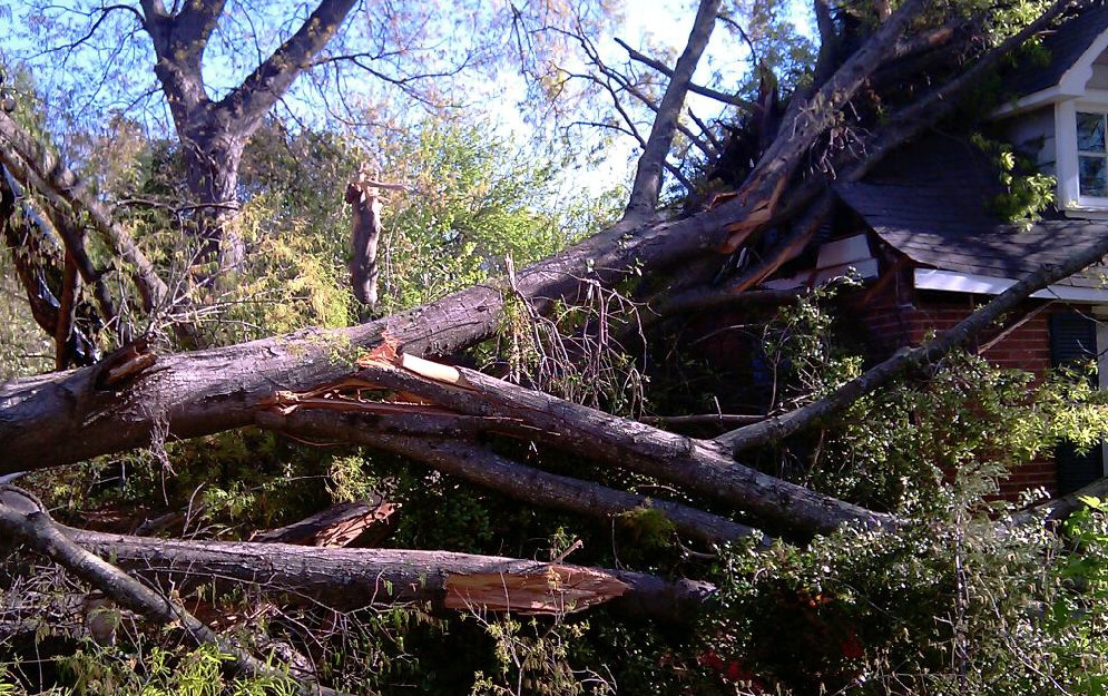storm damage cleanup services in ct