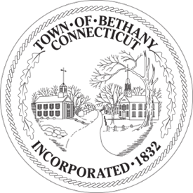 bethany ct tree care service
